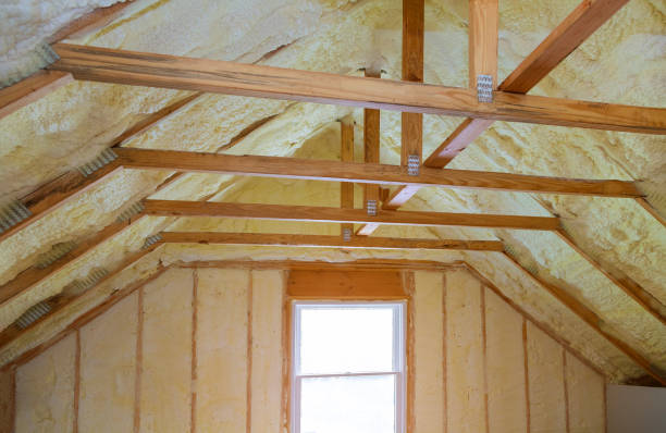 Best Insulation Removal  in Mount Angel, OR