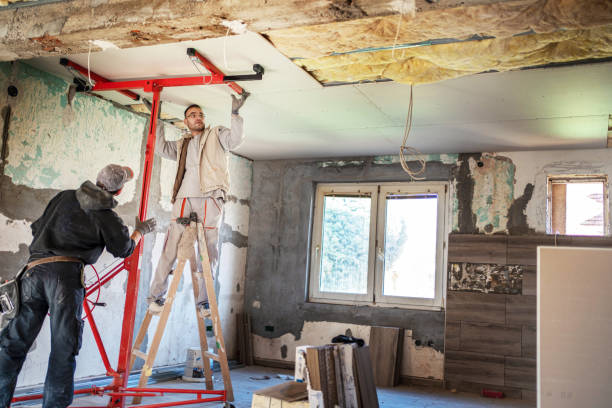 Best Insulation Replacement Services  in Mount Angel, OR