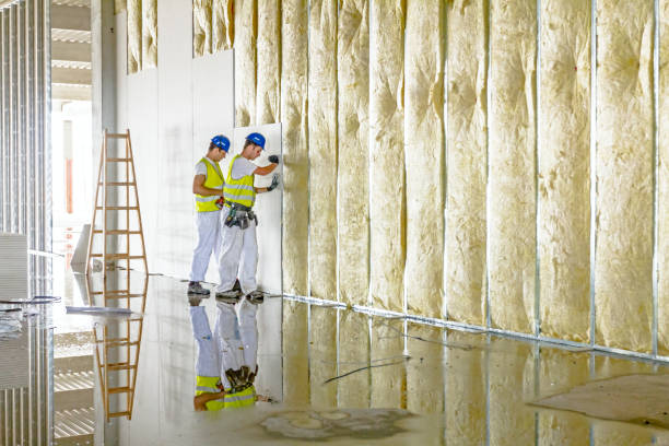 Best Attic Insulation Installation  in Mount Angel, OR